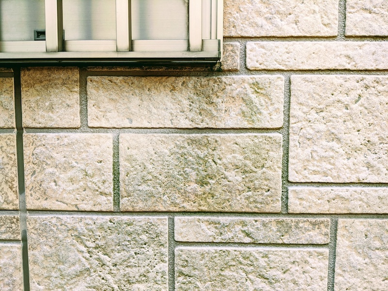 なぜ外壁にカビが生えるのか?原因と劣化リスク、再発を防ぐ塗料選びを解説