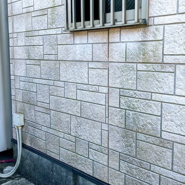 なぜ外壁にカビが生えるのか?原因と劣化リスク、再発を防ぐ塗料選びを解説