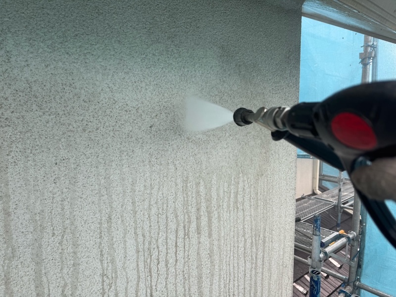 なぜ外壁にカビが生えるのか?原因と劣化リスク、再発を防ぐ塗料選びを解説